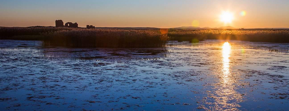 Сүм Хөх бүрд